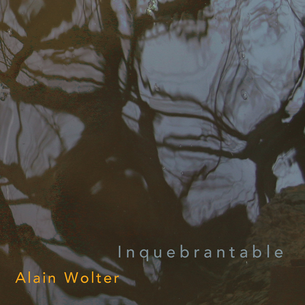 Inquebrantable - Alain Wolter Artsonicst